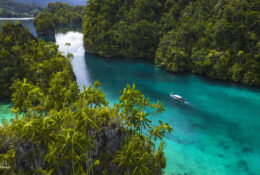 West Papua, Kaimana, Triton Bay 2026 (1/41)